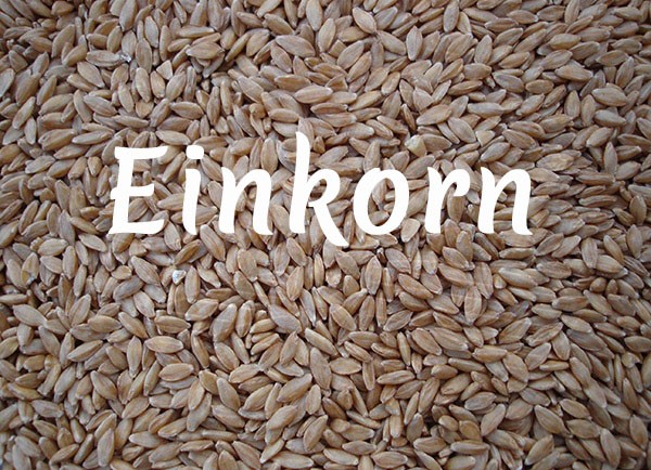 Bio-Einkorn, Urgetreide