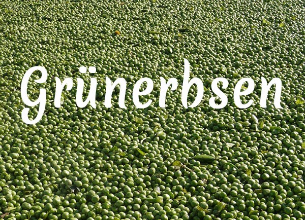 Bio-Grünerbsen