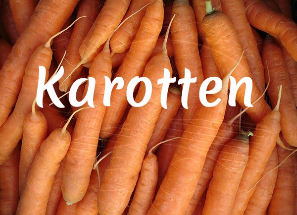 Bio-Karotten/Möhren/Gelbe Rüben/Wurzeln - Frühjahrs-und Herbstanbau