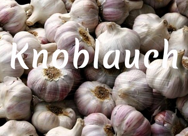 Bio-Knoblauch