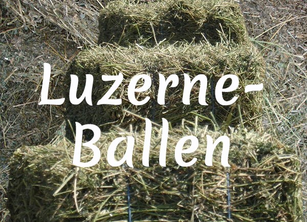 Bio-Luzerneballen - Mulchmaterial