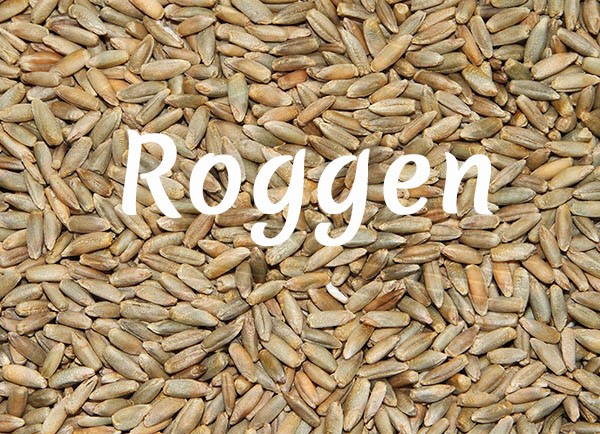 Bio-Roggen