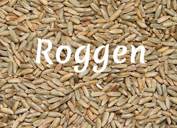 Bio-Roggen