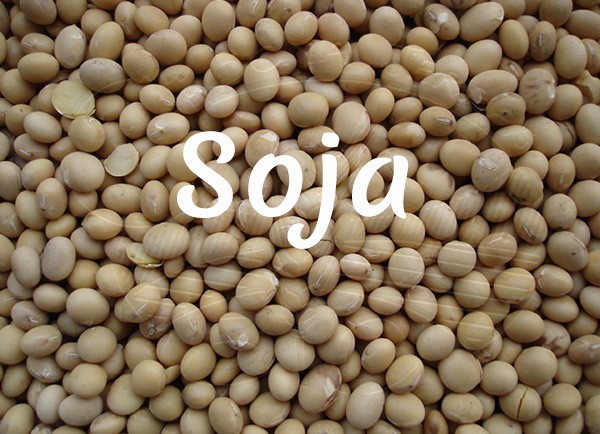 Soja