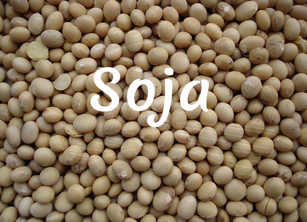 Soja