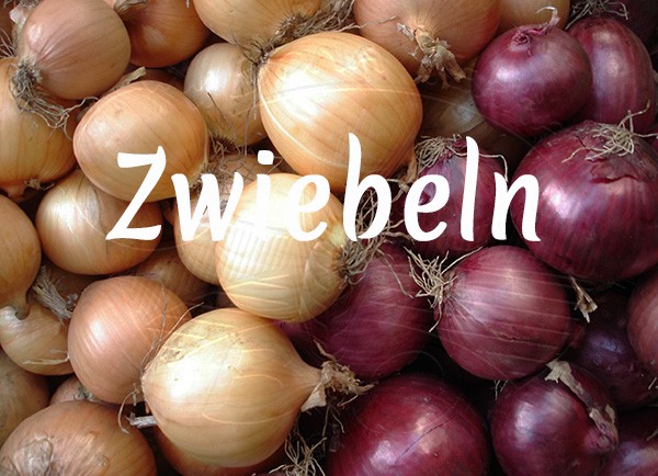 Bio-Zwiebeln